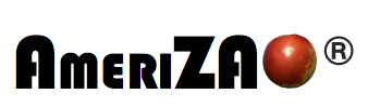 AmericaZa logo